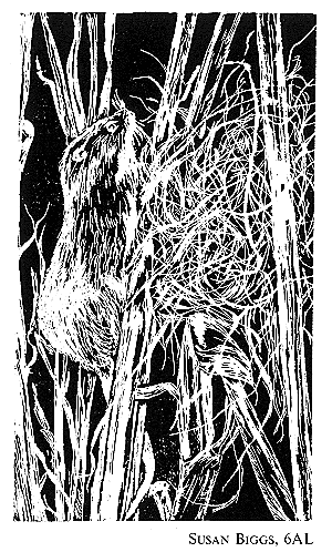 Linocut by Susan Biggs (1968)